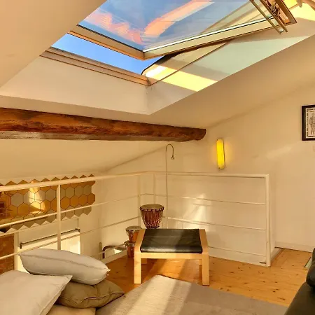 Appartement Duplex De Charme En Centre-ville Avec Terrasse Toulouse