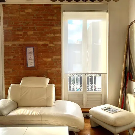 شقة Duplex De Charme En Centre-ville Avec Terrasse تولوز